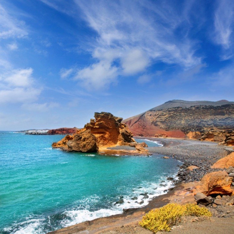 Sinicím v moři u Tenerife se velice daří díky horku.