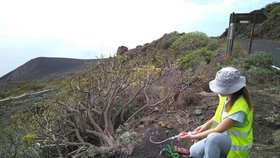 Ostrov La Palma zaznamenal sérii zemětřesení.