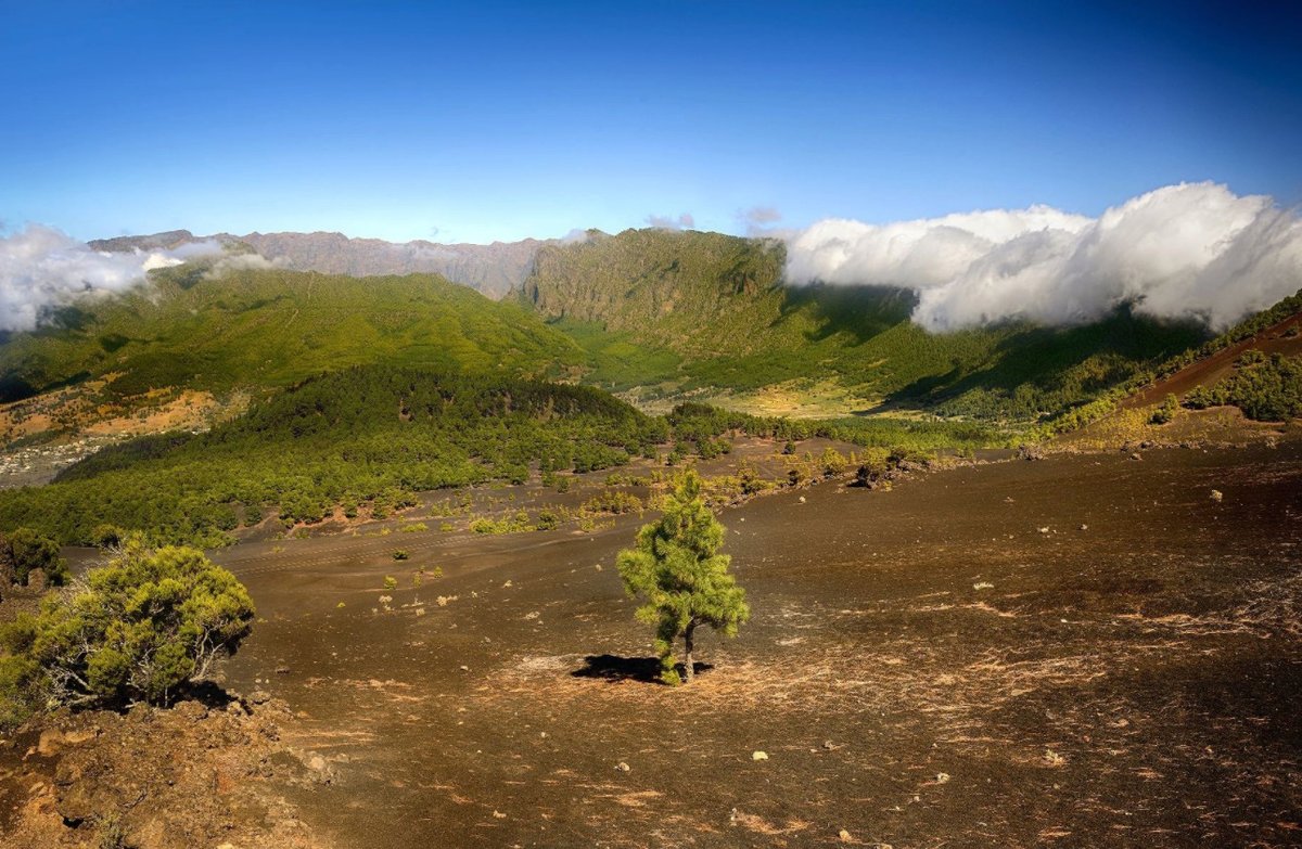 Ostrov La Palma zaznamenal sérii zemětřesení.