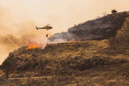 Rozsáhlé lesní požáry zasáhly ostrov Gran Canaria