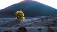 Pole sopečné strusky na východě národního parku Teide.