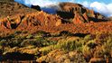 Sopečná krajina v západní části národního parku Teide, přibližně 1450 m. n. m.