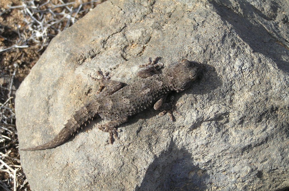 Nedaleko ostrova El Hierro soptí podmořský vulkán.