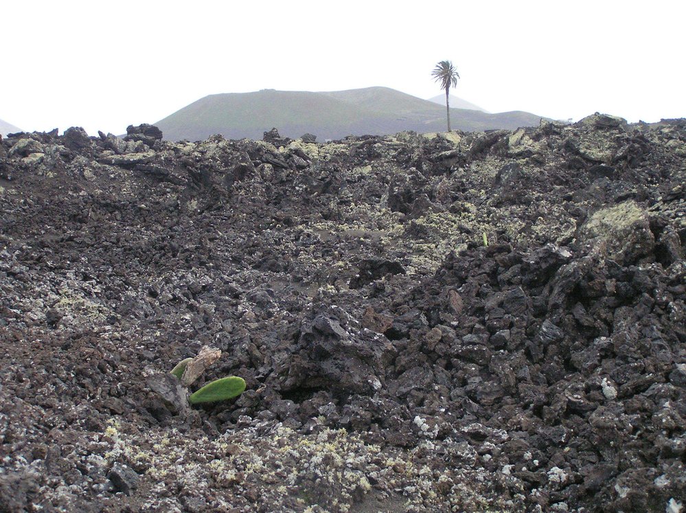 Nedaleko ostrova El Hierro soptí podmořský vulkán.