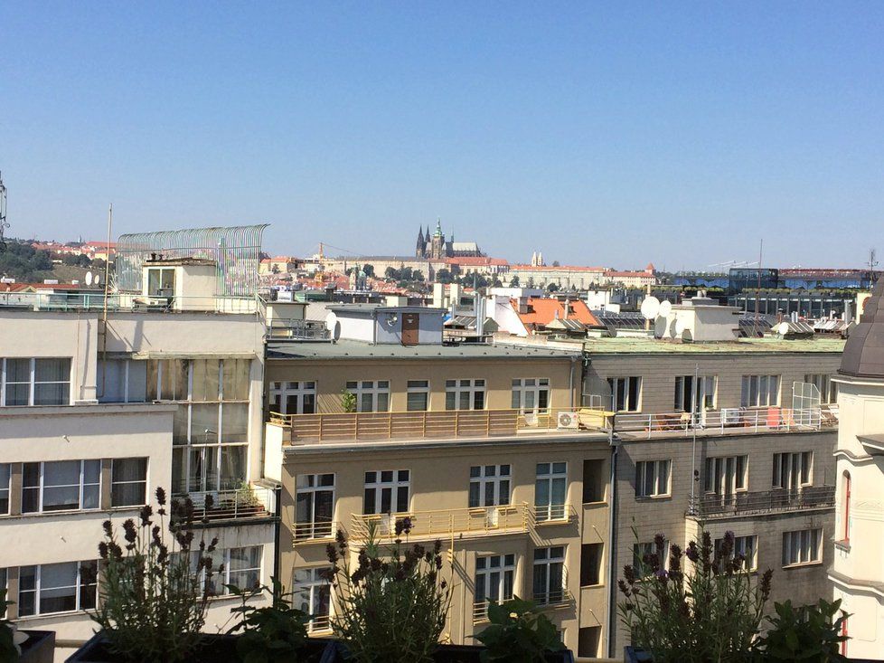 Pohled z terasy budovy úřadu Prahy 1: Pohled na Pražský hrad.