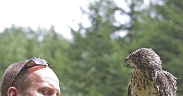 Zvířecí záchranář Karel Makoň s kání lesní.