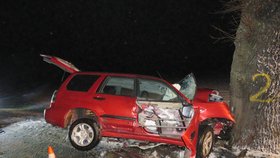 Tragická nehoda na Českokrumlovsku: Řidič zemřel po nárazu do stromu!