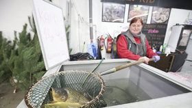 SVS kontrolovala, zda prodejci ryb dodržují předpisy