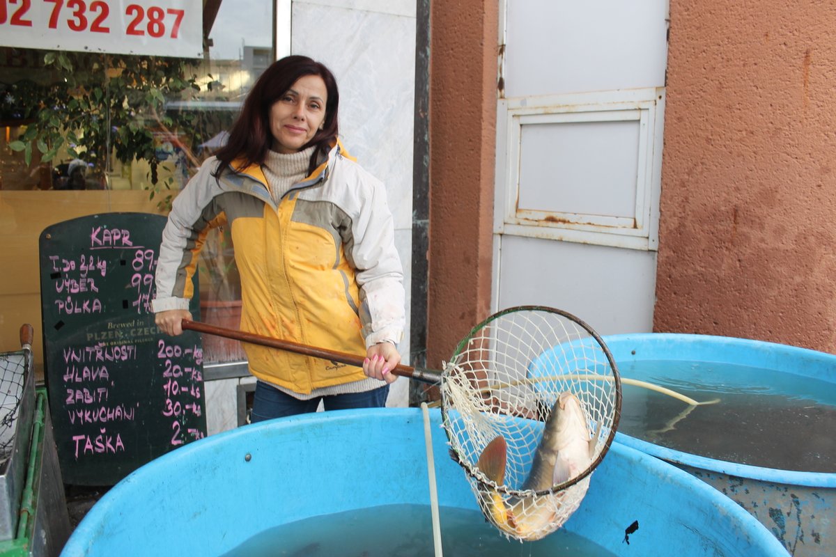 Předvánoční prodej ryb z kádí začal.