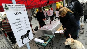 Aktivisté Kolektivu pro zvířata uspořádali 20. prosince v Brně happening "Prodej vánočních psů", jehož cílem bylo upozornit na kruté zacházení s kapry o Vánocích.