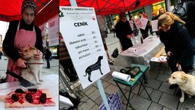 Aktivisté Kolektivu pro zvířata uspořádali 20. prosince v Brně happening "Prodej vánočních psů", jehož cílem bylo upozornit na kruté zacházení s kapry o Vánocích.