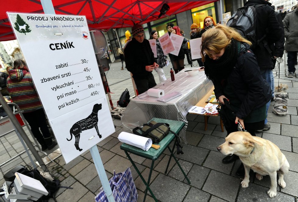 Aktivisté Kolektivu pro zvířata uspořádali 20. prosince v Brně happening &#34;Prodej vánočních psů&#34;, jehož cílem bylo upozornit na kruté zacházení s kapry o Vánocích.