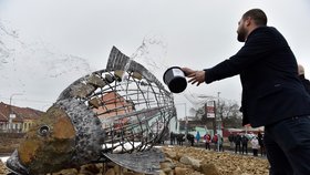 Na novém kruhovém objezdu v centru Pohořelic na Brněnsku odhalili sochu kapra . Město patří k centrům chovu ryb v Česku a značka Pohořelický kapr získal v roce 2007 od Evropské unie zeměpisnou ochrannou známku.