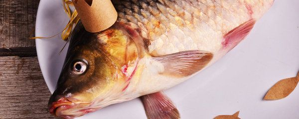 Vánoční magie: Tajemství kapří šupiny a kouzlo k přivolání peněz