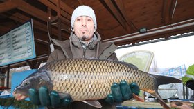 Matěj Kovář slíbil, že i letošní kapři z Třeboně na vánoční stůl jsou kvalitní, záleží hlavně na kuchaři.