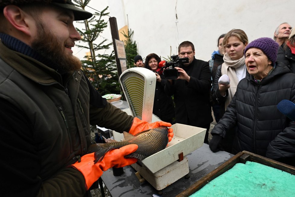 Prodej vánočních kaprů je v plném proudu. SVS zahájila už i první kontroly. Čím dál častěji se však objevují názory, že tento druh prodeje by se měl zakázat, protože je vůči rybám nehumánní