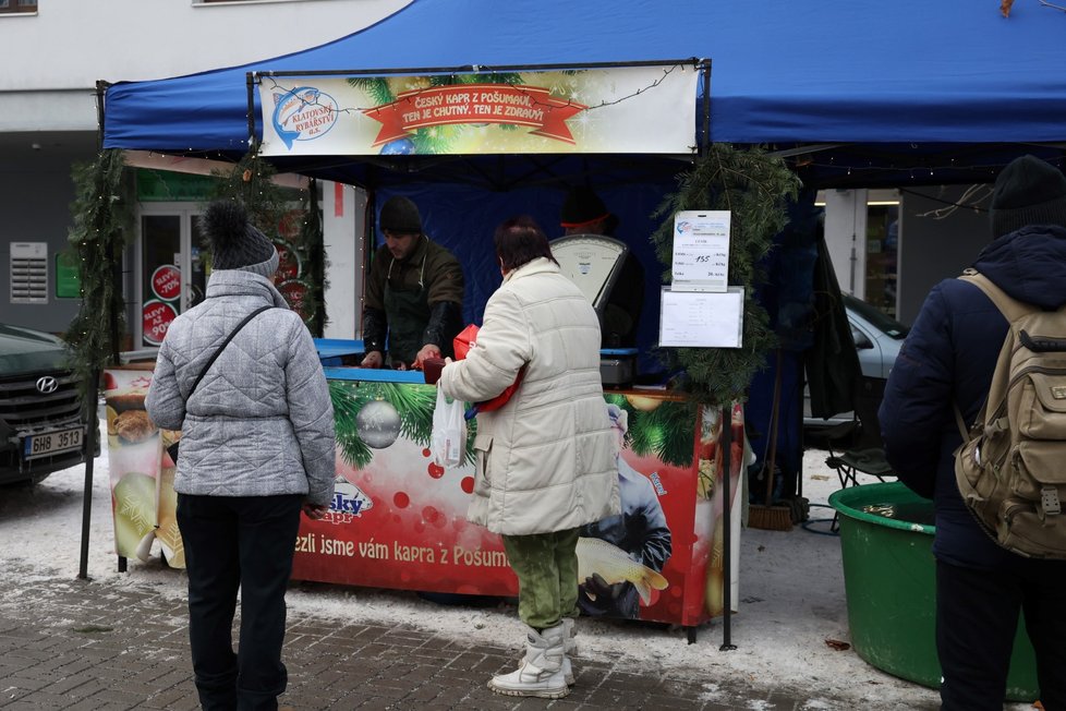 Prodej vánočních kaprů je v plném proudu. SVS zahájila už i první kontroly. Čím dál častěji se však objevují názory, že tento druh prodeje by se měl zakázat, protože je vůči rybám nehumánní