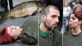 Účastníci akce si přímo na ulici vyndali z tváří piercingy a nechali se dobrovolně napichovat na obrovité háky, pak ulovit, odnést do kádě a symbolicky zabít.