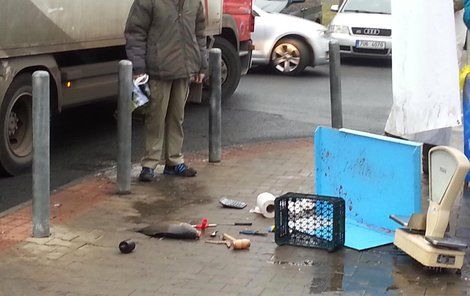 Incident nepřežili dva kapři.