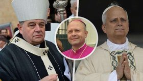 Kdy se Česko opět dočká kardinála? Záleží čistě na papeži, tvrdí biskup Wasserbauer.