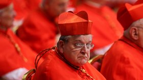 Kardinál Raymond Burke, kritik papeže Františka (2017)