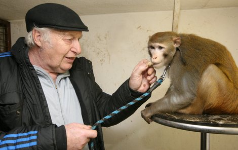 Opičák Ferda vždy ocení burské oříšky, z rukou šéfa obzvlášť chutnají.