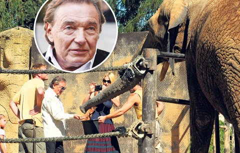 Gott se s celou rodinou vydal na safari: Krmil slony a divil se, že mají také zubní protézy