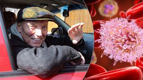 Karel Gott trpí akutní myeloidní leukemií! Jakou má šanci na uzdravení?