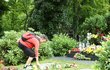 Hrob Karla Gotta se v den jeho nedožitých 82. narozenin plní květinami