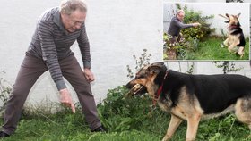 Karel Gott se musel přes děsivého vlčáka dostat do studia.