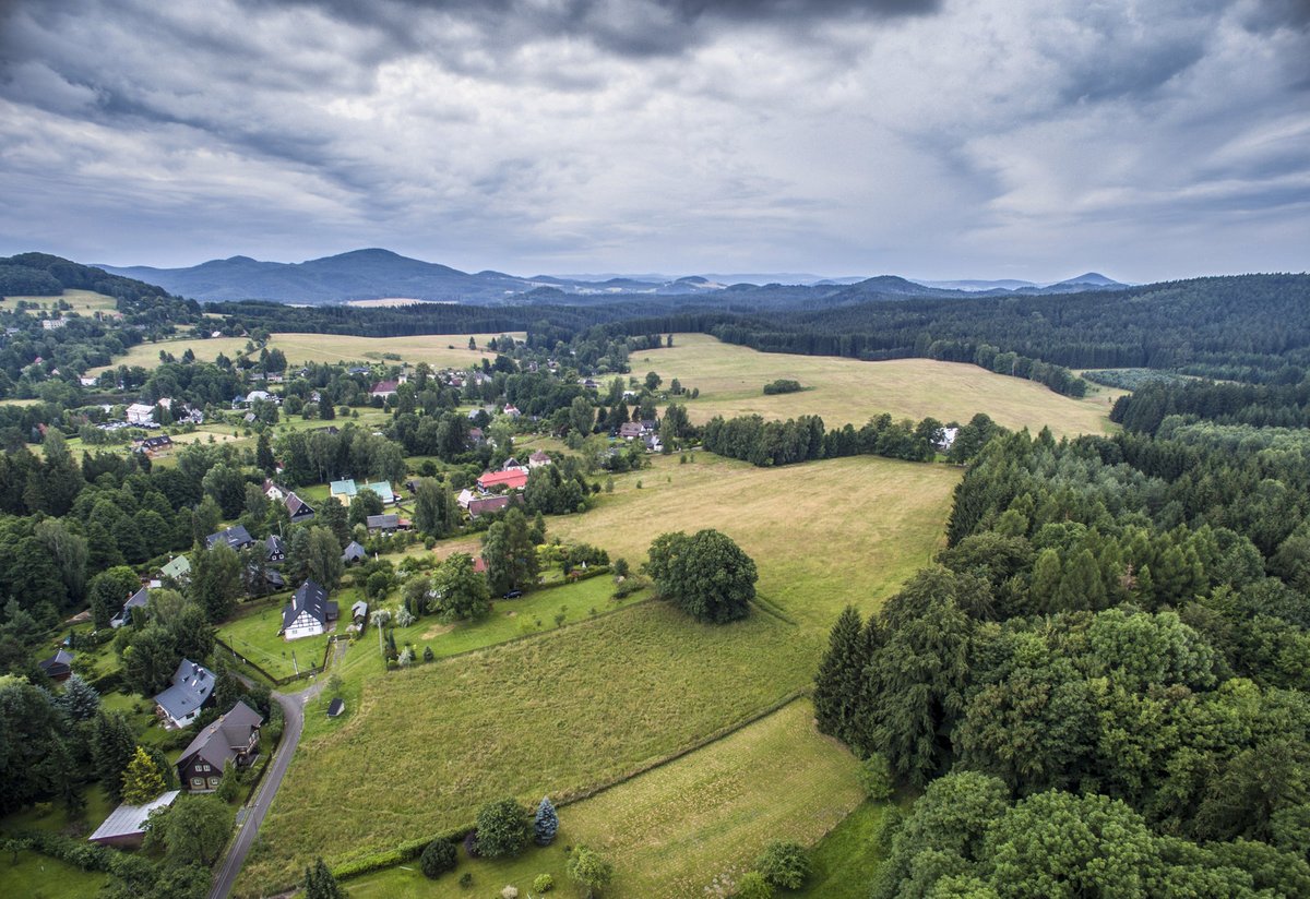 POLOVINA ČERVENCE 2016  Na parcele hraničící s lesem se ještě nezačalo pracovat.