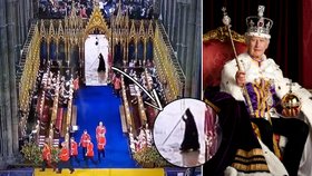 Kdo byl onen Smrťák, co se objevil na korunovaci Karla III.?
