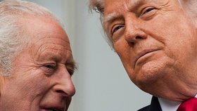 Přijetí Karla III. u Donalda Trumpa provázely i různé výrazy (duben 2026)