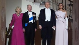 Přijetí Karla III. u Donalda Trumpa provázely i různé výrazy (duben 2026)