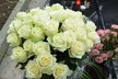 Manželka Kateřina přinesla Karlovi k narozeninám krásnou kytici 33 bílých růží
