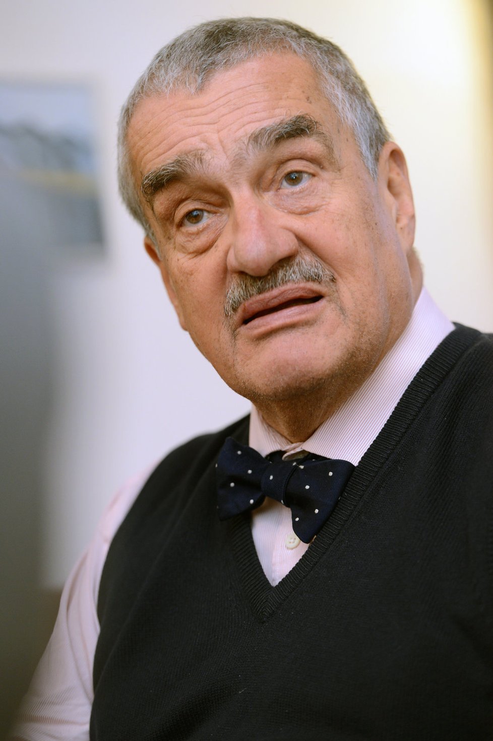 Schwarzenberg si na roli prezidenta troufá