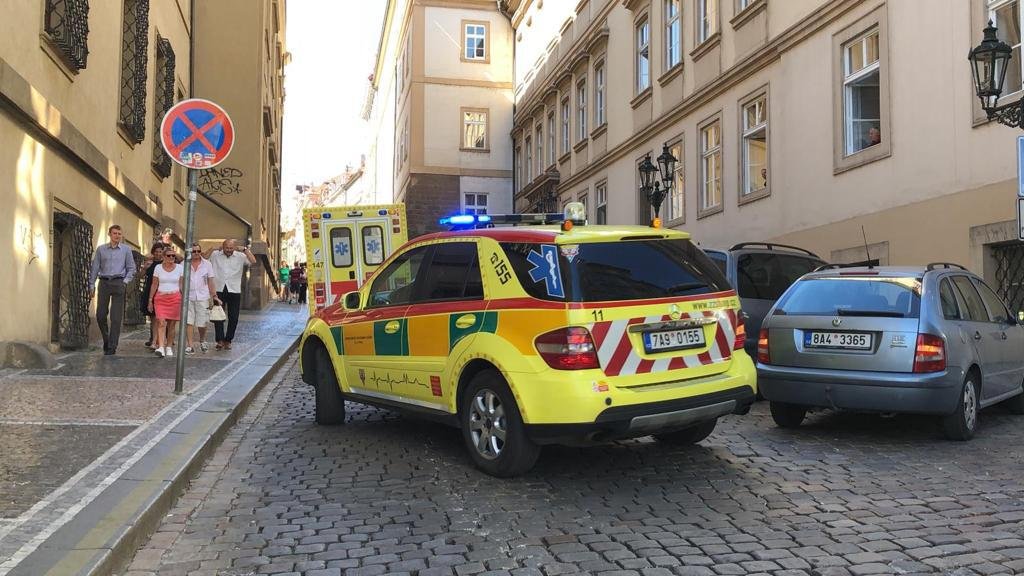 Karlovi Schwarzenbergovi se udělalo nevolno a upadl ve Sněmovně.