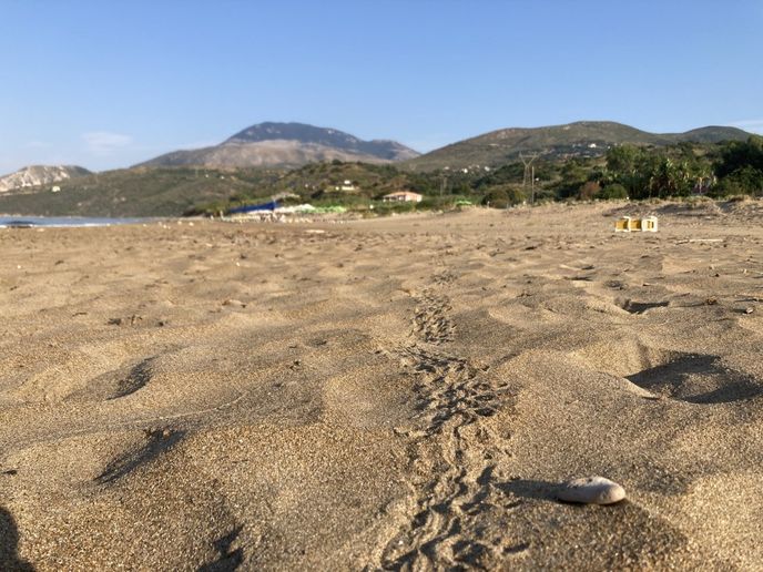 Ale tyto stopy míří na opačnou stranu - k hotelu. Ale tyto stopy míří na opačnou stranu - k hotelu.