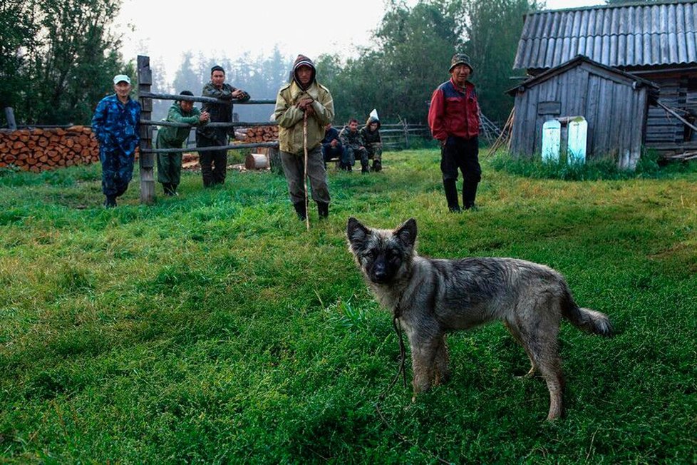 Karina Čikitová přežila jako čtyřletá dvanáct dní sama uprostřed sibiřského lesa se svým pejskem Naidou.