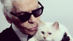 Karl Lagerfeld: Kdybych mohl, ožením se s kočkou
