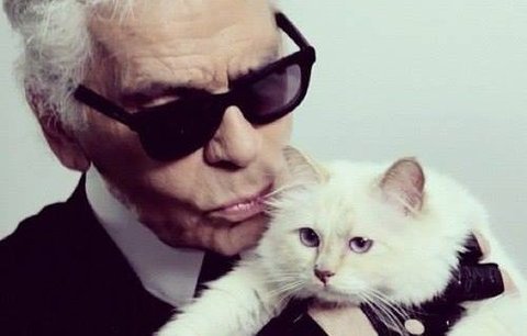 Karl Lagerfeld: Kdybych mohl, ožením se s kočkou