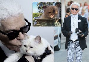 Kočka zesnulého Karla Lagerfelda (†85): Chtěl se s ní oženit, teď bude dědit!