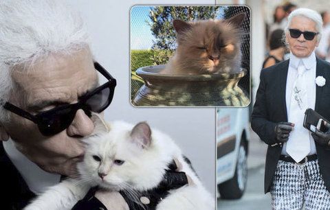 Kočka zesnulého Karla Lagerfelda (†85): Chtěl se s ní oženit, teď bude dědit!