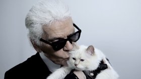 Návrhář Lagerfeld: Vzdám se německého občanství. „Merkelová dostala zlo k moci“ 