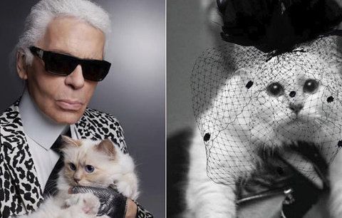 Lagerfeldova (†85) kočičí láska oplakává jeho smrt: Píše vzkazy na instagram