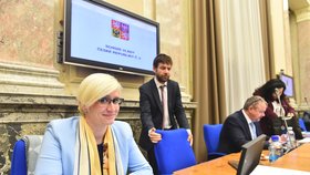 Exministryně Karla Šlechtová (za ANO) šéfovala ve vládě nejprve ministerstvu pro místní rozvoj, poté obraně