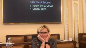 Poslankyně za ANO a exministryně Karla Šlechtová během mimořádné schůze Sněmovny (19. 8. 2020)