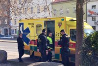 Žena na Plzeňsku se šla projít, skončila postřelená v nemocnici: Přilétla kulka z místní střelnice?