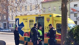 Žena na Plzeňsku se šla projít, skončila postřelená v nemocnici: Přilétla kulka z místní střelnice? (ilustrační foto)