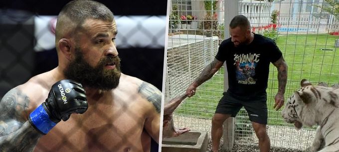 Úřady obviňují Vémolu z týrání tygřice: Vytočený bijec se brání! Úřady obviňují Vémolu z týrání tygřice: Vytočený bijec se brání!